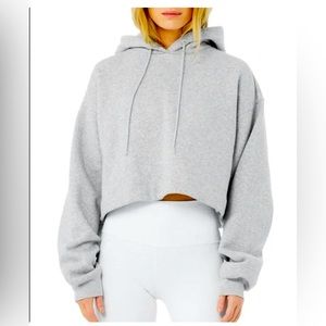 Alo Yoga Cropped Gray Hoodie